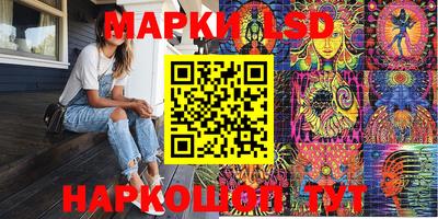 СК Абакан
