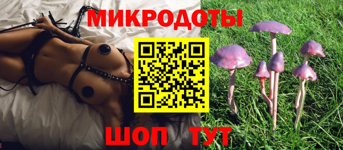 Алексеевка  Галлюциногенные грибы Psilocybine cubensis  Вход с VPN 